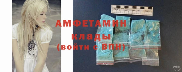 ПСИЛОЦИБИНОВЫЕ ГРИБЫ Болотное