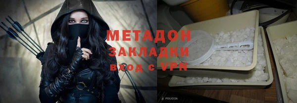 ПСИЛОЦИБИНОВЫЕ ГРИБЫ Болотное