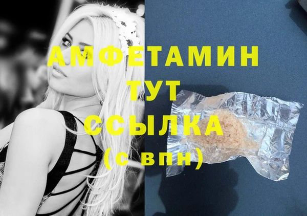 ПСИЛОЦИБИНОВЫЕ ГРИБЫ Болотное