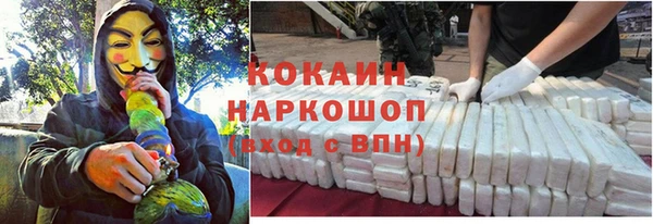 ПСИЛОЦИБИНОВЫЕ ГРИБЫ Болотное