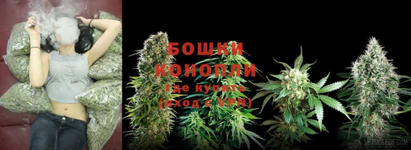 мдпв Волоколамск